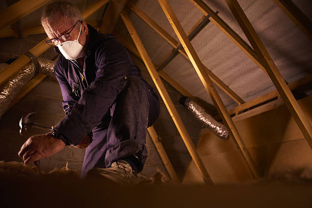Best Cellulose Insulation in Lincoln Center, KS